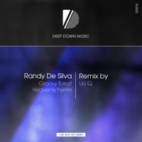 Groovy Forest - Single - Randy De Silva