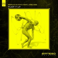 Pump It Up (feat. Kris Kiss) - Single - FONTI & Brawo