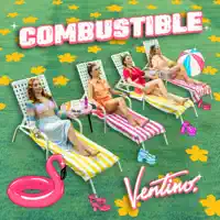 Combustible — Ventino