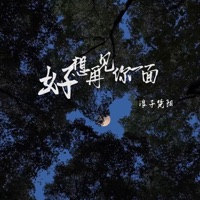 好想再见你一面 - Single - 浪子楚阳