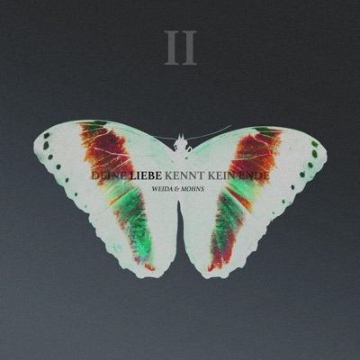 Deine Liebe kennt kein Ende - Single