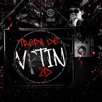 TROPA DO VITIN 2D - Single - Dj Vitin 2D