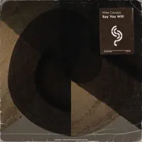 Say You Will — Mike Candys