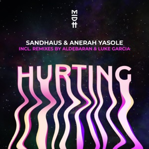Hurting - Single
