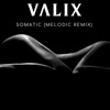 Somatic (Melodic Remix) [Melodic Remix] - Single