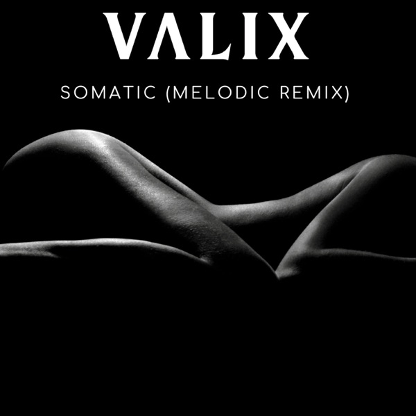 Somatic (Melodic Remix) [Melodic Remix] - Single