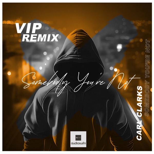 Somebody You're Not (VIP Remix) - Single