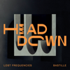 Lost Frequencies & Bastille - Head Down kunstwerk