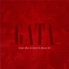 GATA (feat. Mayofly & Jalil Chavez) - Single