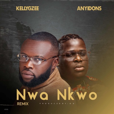 Nwa nkwo (Remix) (feat. Anyidons) - Single