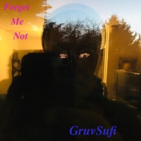 Forget Me Not - Single - GruvSufi