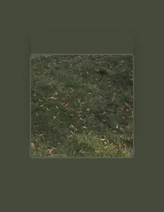 Poslechněte si interpreta VIDEO, sledujte hudební videa, přečtěte si životopis, podívejte se na data turné a další informace.