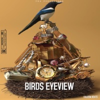 Birds Eyeview - Single - Kaleem Beats