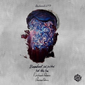 Not the One Remix Pack - Single
