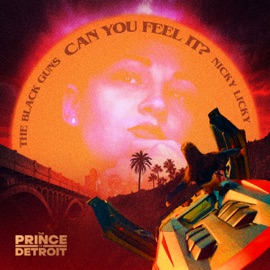 Can You Feel It? Nicky Licky & The Black Guns