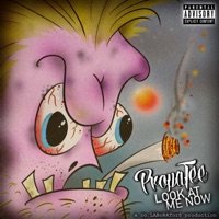 Look At Me Now (feat. co.LABoRATorS & Chrome Devil 22) - Single - PropaTee