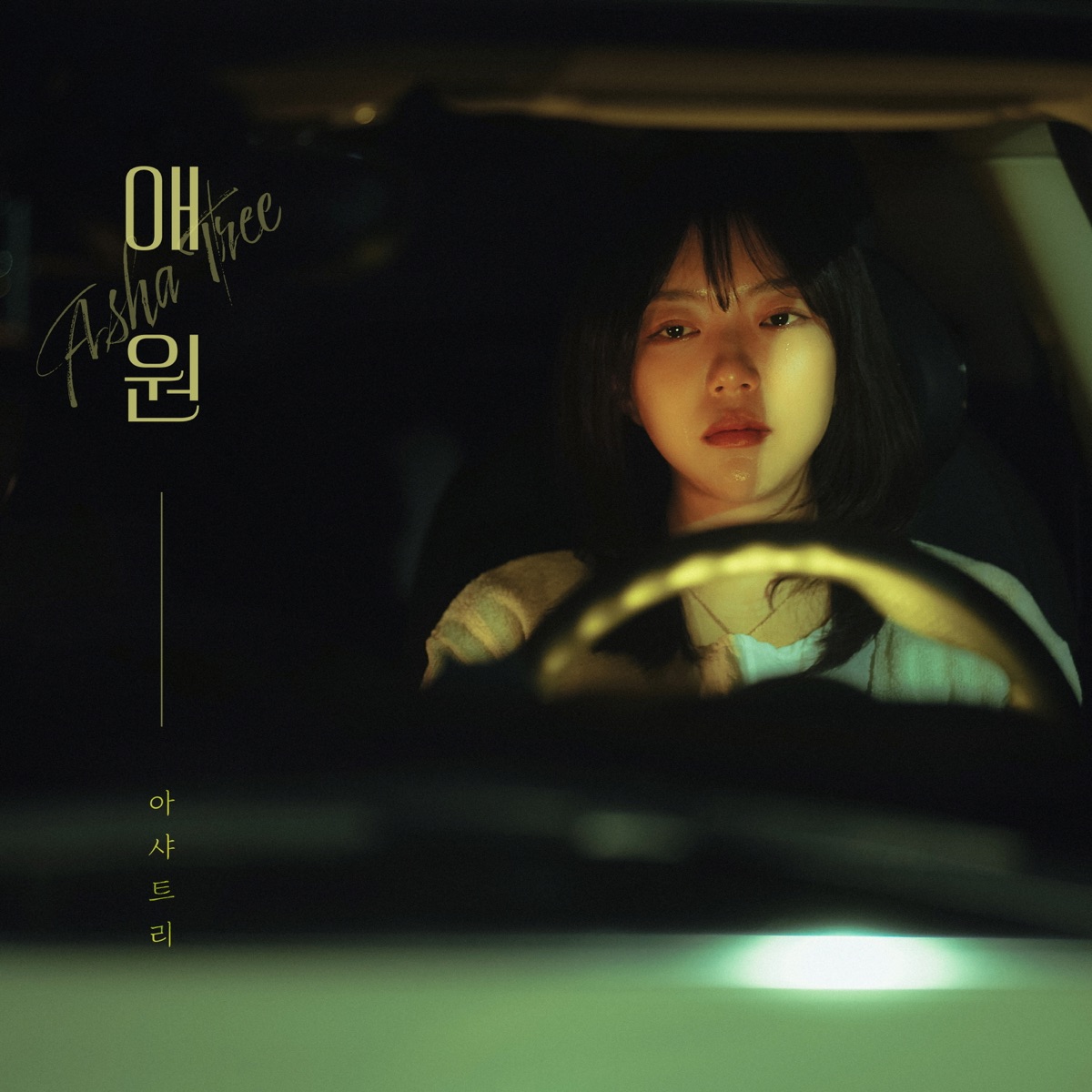 dl-mp3-flac-ashatree-plea-single-kpopjjang