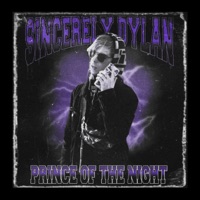 Prince of the Night - sincerely dylan