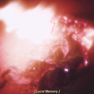 Lucid Memory - Single