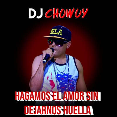 Hagamos el Amor sin Dejarnos Huella - Single