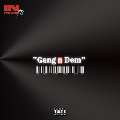 Gang n dem (feat. Keilo2x, Kim the III, Onfye, Zay Bcuz & 5am) - Single