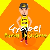 Muchos la Critican - Single - Mr Gyabel