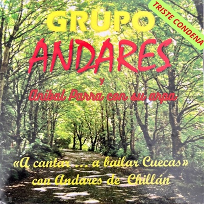Triste condena (feat. Grupo Andares de Chillán) - Single