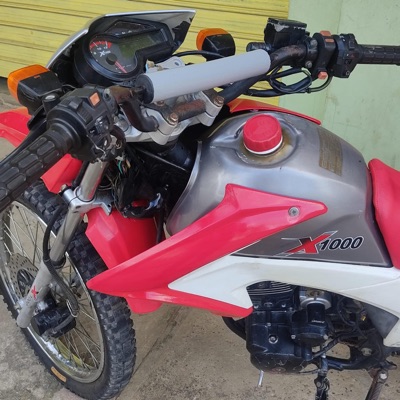 Msmusic - ESTE ANIMAL