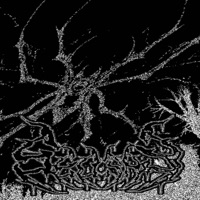 Envys Eclipse - Single - sedate