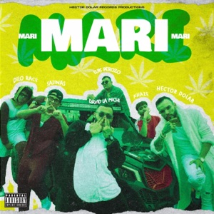 MARI MARI (feat. Khaze, Dilo Race, David la Amichi, Luis Perozo & Salinas)