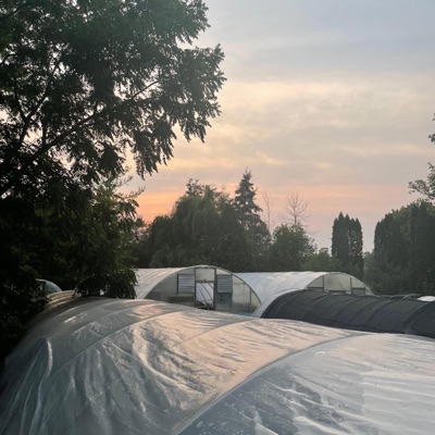 Botany (feat. Sjs) - Single