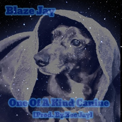 One of a Kind Canine - Single