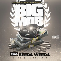 Big Mob (feat. Beeda Weeda) - Single - The Mob Is Here