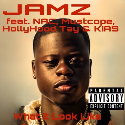 What It Look Like (feat. NAC, Mustcope, HollyHood Tay & KIAS) - Single
