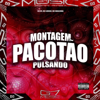 Montagem Pacotão Pulsando - Single