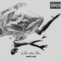 Who Are You (feat. NLN) - Single - VSN