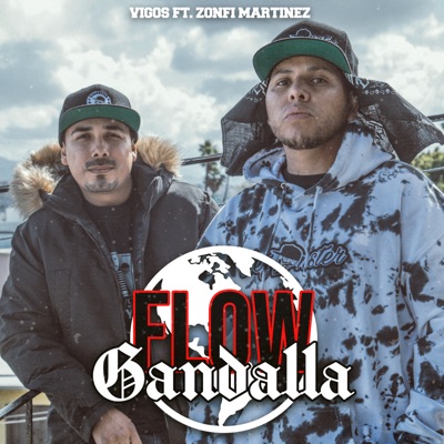 Flow Gandalla (feat. Zonfi martinez) - Single