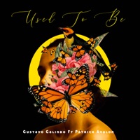 Used to Be (feat. Patrick Avalon) - Single - Gustavo Galindo
