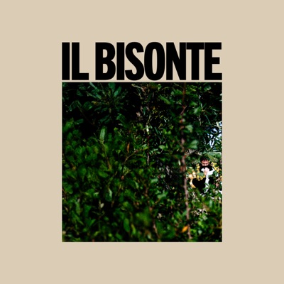 Il bisonte - Single