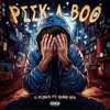 Peekaboo (feat. Quin Nfn) - Single