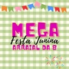 Mega Festa Junina, Arraial da 8 (feat. MC LORIN DA ZL & Jaison da Comunidade) - Single