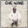 Gye Wani - Single