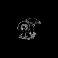 Marolando Sesh #1 - Free Verse - Single - Marolândia, Ivsu, 021BINNO & L ot