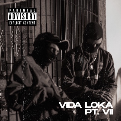 Vida Loka, Pt. 7 (feat. Prodiigo) - Single