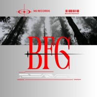 B.F.G (feat. L.A.N.D.O & ShaggyJ) - Single - Freido