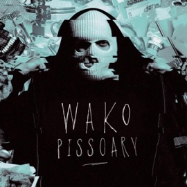 Pasy, many, vit (feat. Meth) Wako