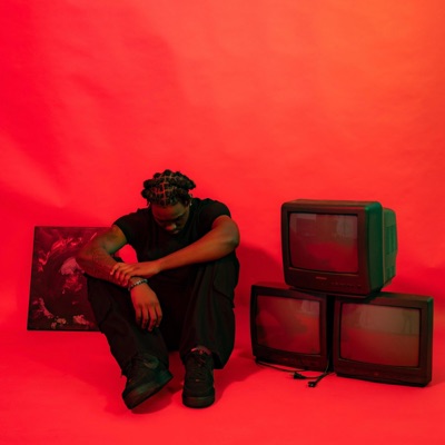 Seen Ît All - Single