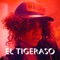 El Tigeraso - Maluca lyrics