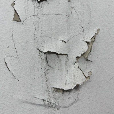 BIRDIES (feat. NODOZE, CHASEMAYNE & KAMADO) - Single