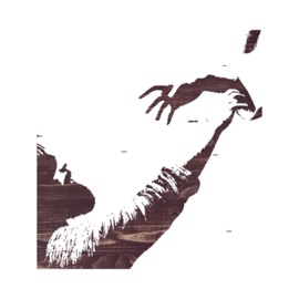 Reaching (feat. NVS) Zayga